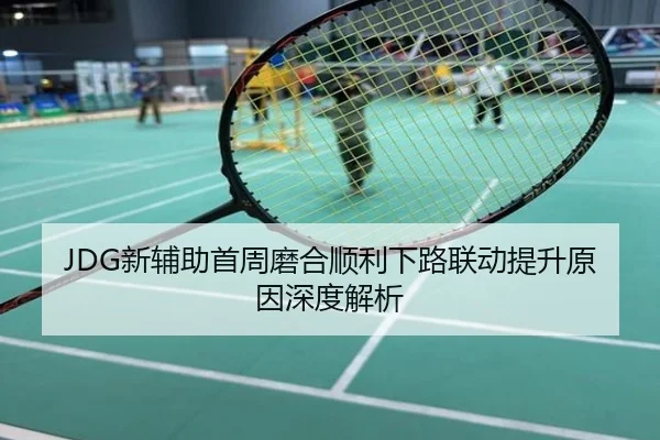 JDG新辅助首周磨合顺利下路联动提升原因深度解析