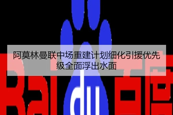 阿莫林曼联中场重建计划细化引援优先级全面浮出水面